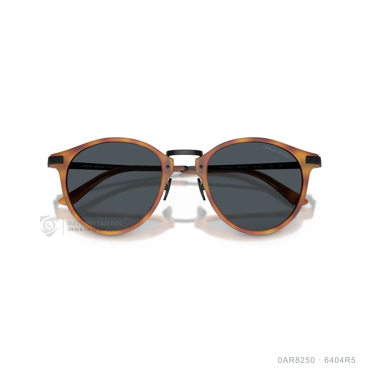Kính mát Giorgio Armani 0AR8250 - Ảnh 13