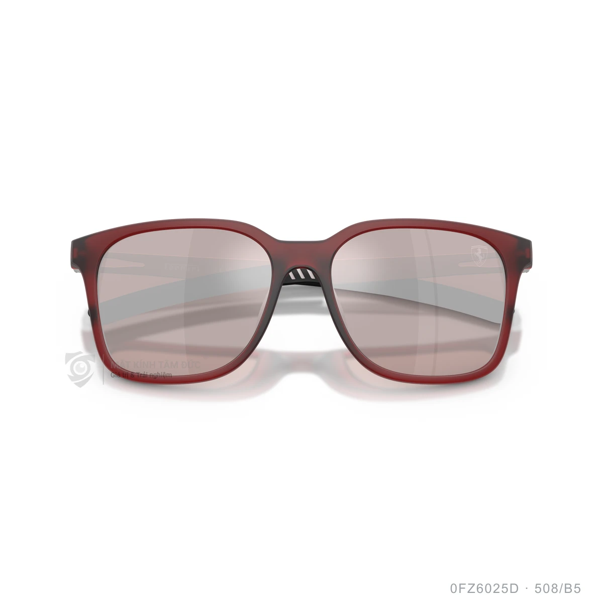 Kính mát Scuderia Ferrari 0FZ6025D - Ảnh 13