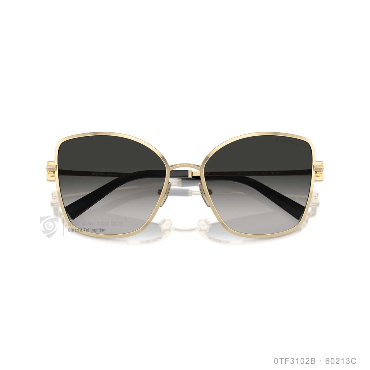 Kính mát Tiffany & Co. 0TF3102B - Ảnh 3