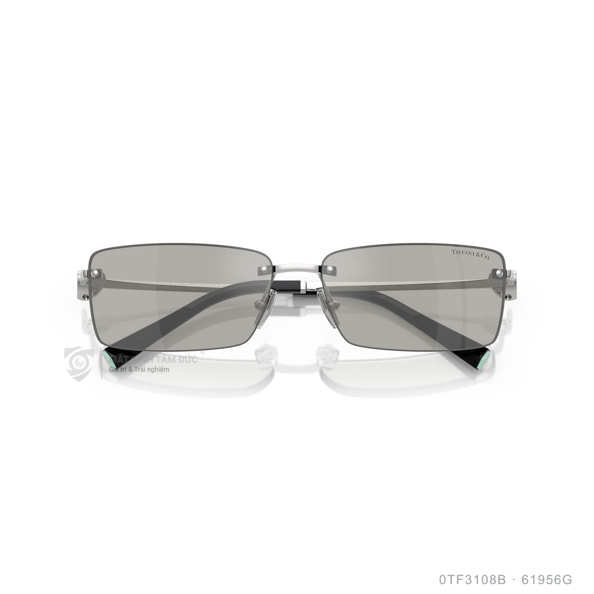 Kính mát Tiffany & Co. 0TF3108B - Ảnh 8