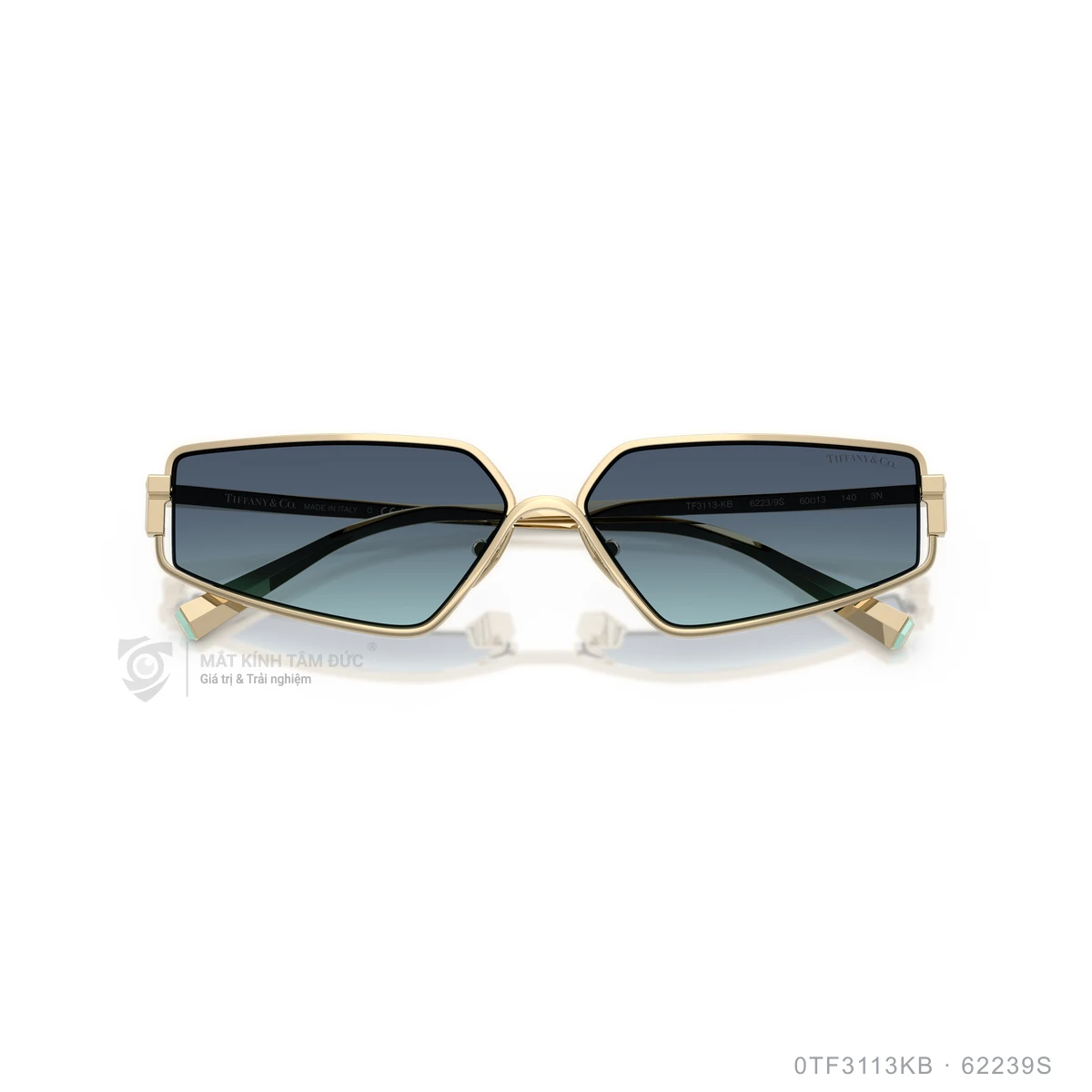 Kính mát Tiffany &amp; Co. 0TF3113KB - Ảnh 3