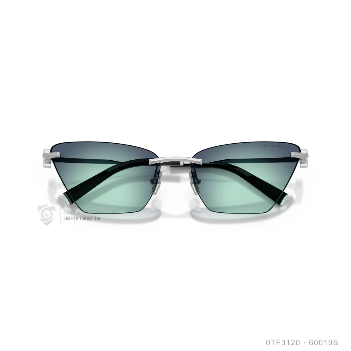 Kính mát Tiffany &amp; Co. 0TF3120 - Ảnh 3