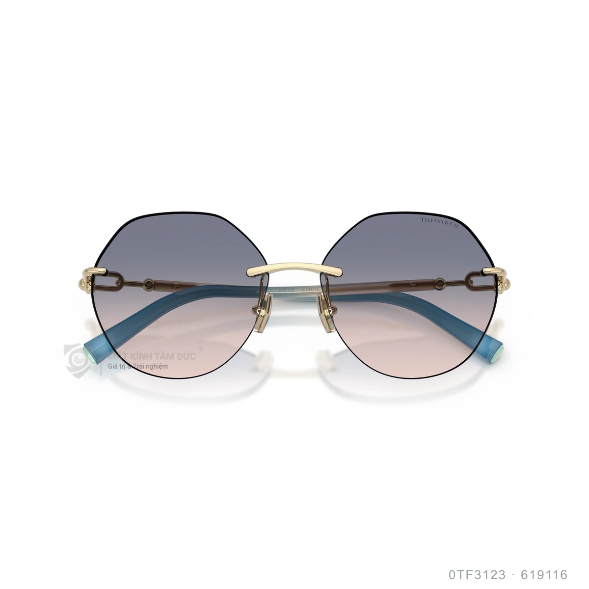 Kính mát Tiffany & Co. 0TF3123 - Ảnh 13