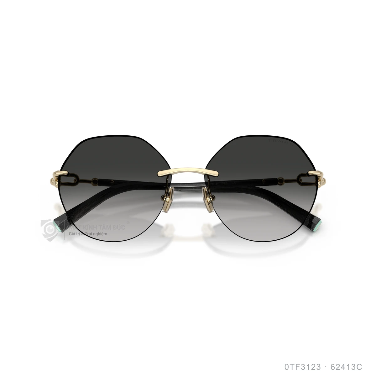Kính mát Tiffany & Co. 0TF3123 - Ảnh 18