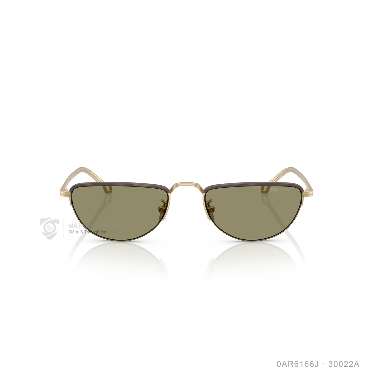Kính mát Giorgio Armani 0AR6166J - Ảnh 1