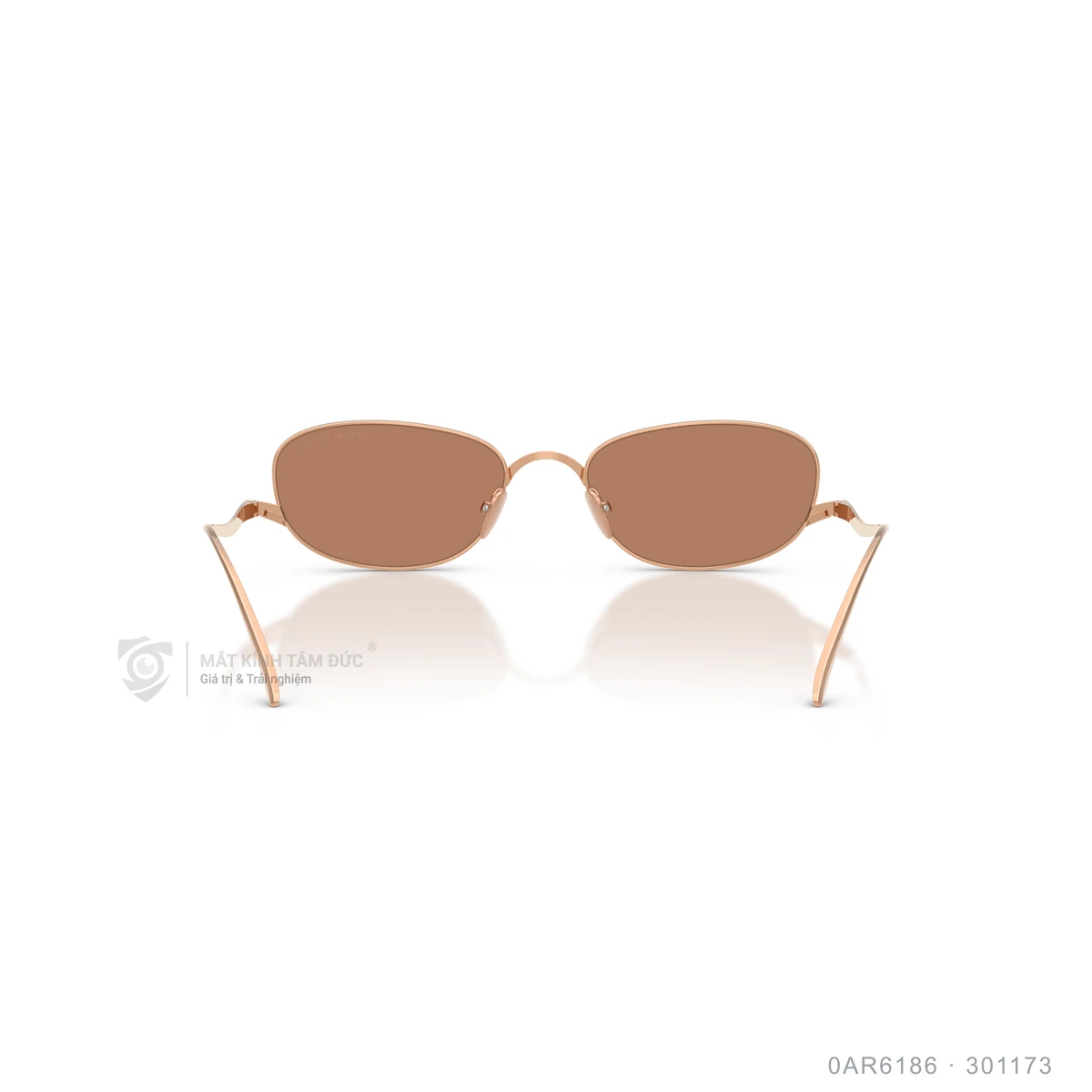 Kính mát Giorgio Armani 0AR6186 - Ảnh 5