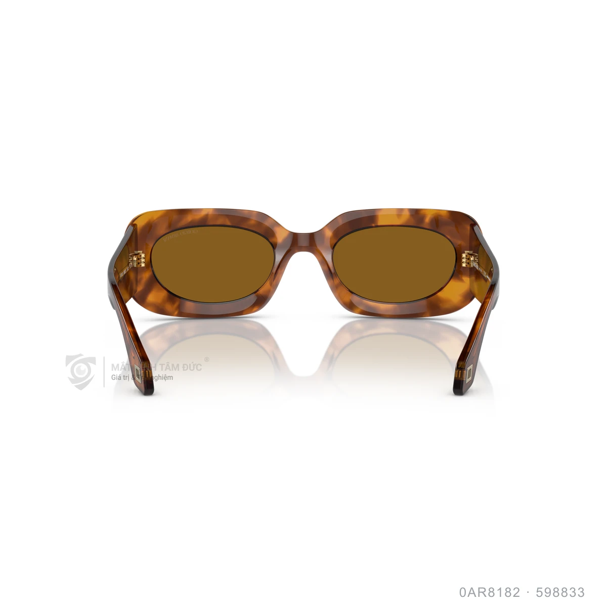 Kính mát Giorgio Armani 0AR8182 - Ảnh 10