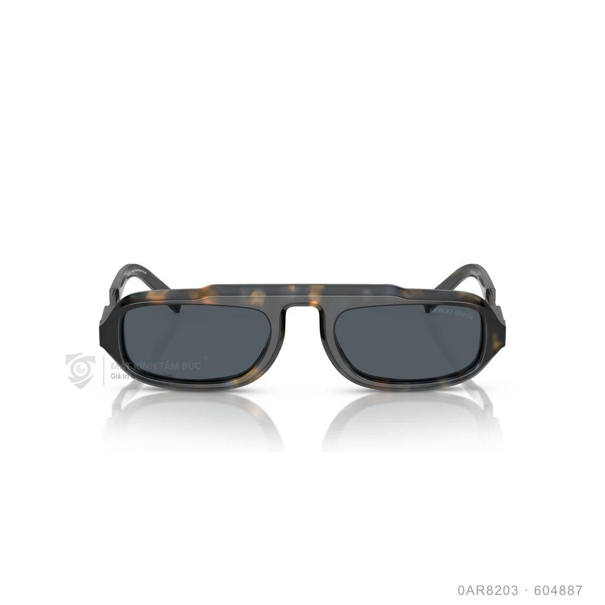 Kính mát Giorgio Armani 0AR8203 - Ảnh 6