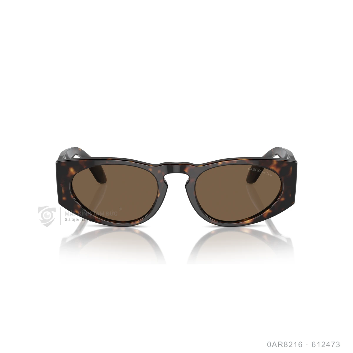 Kính mát Giorgio Armani 0AR8216 - Ảnh 6