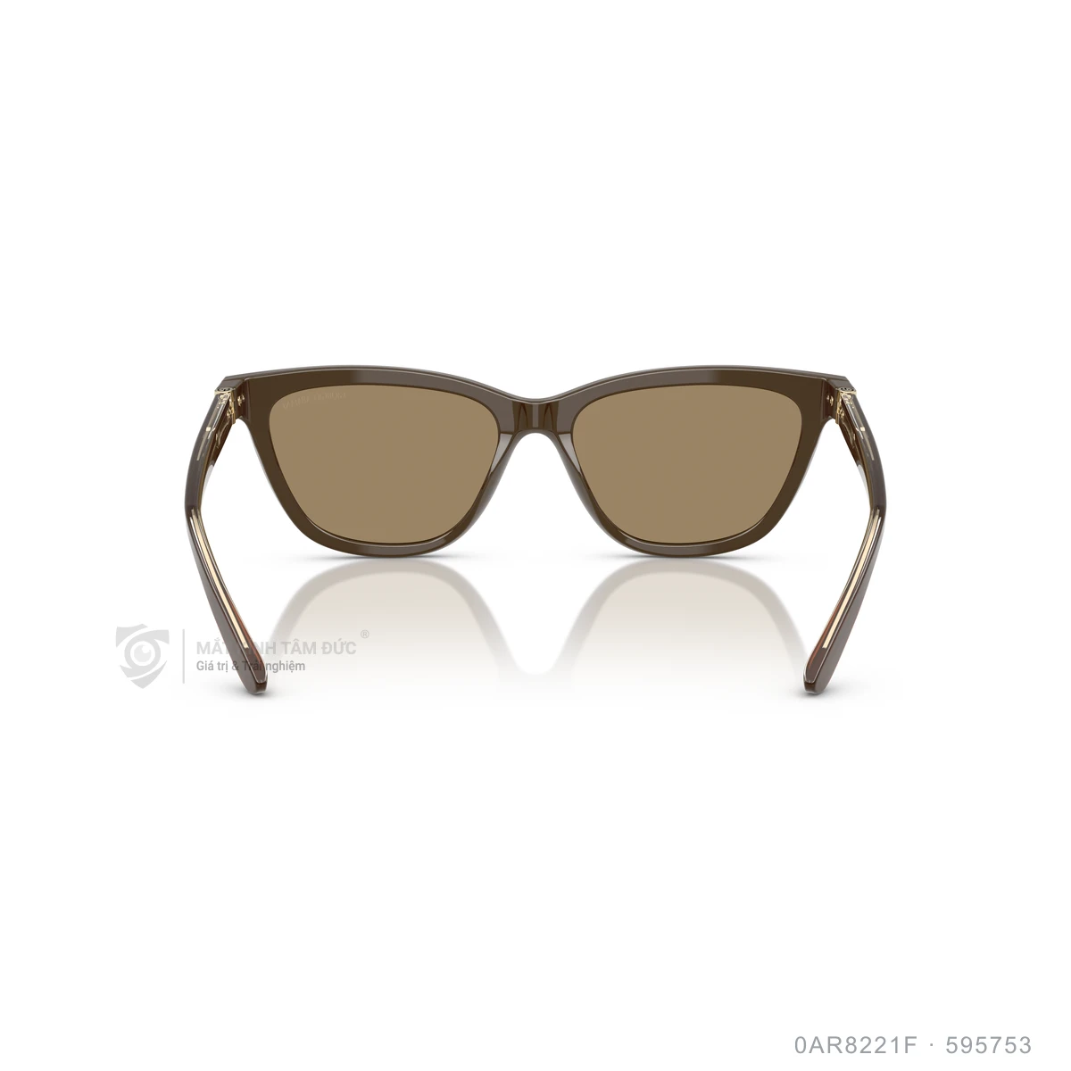 Kính mát Giorgio Armani 0AR8221F - Ảnh 10