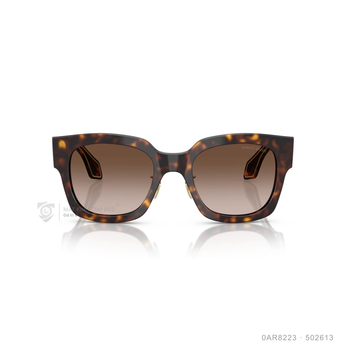 Kính mát Giorgio Armani 0AR8223 - Ảnh 6