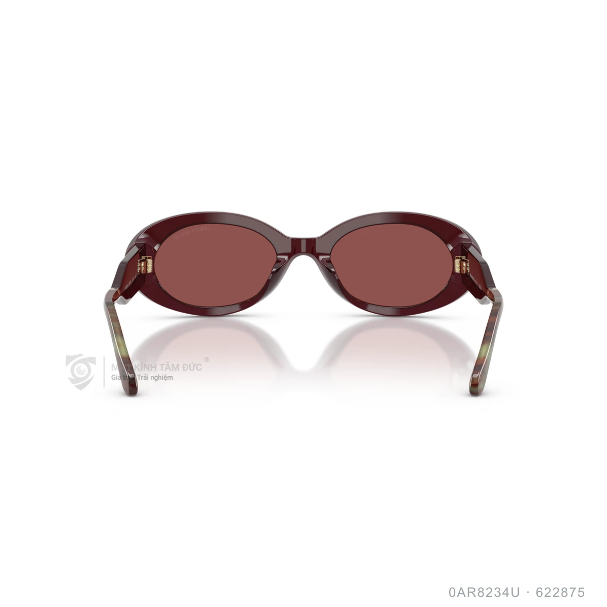 Kính mát Giorgio Armani 0AR8234U - Ảnh 15