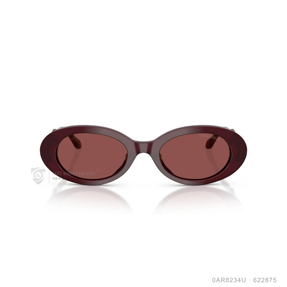 Kính mát Giorgio Armani 0AR8234U - Ảnh 11