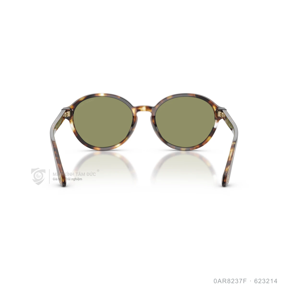 Kính mát Giorgio Armani 0AR8237F - Ảnh 5