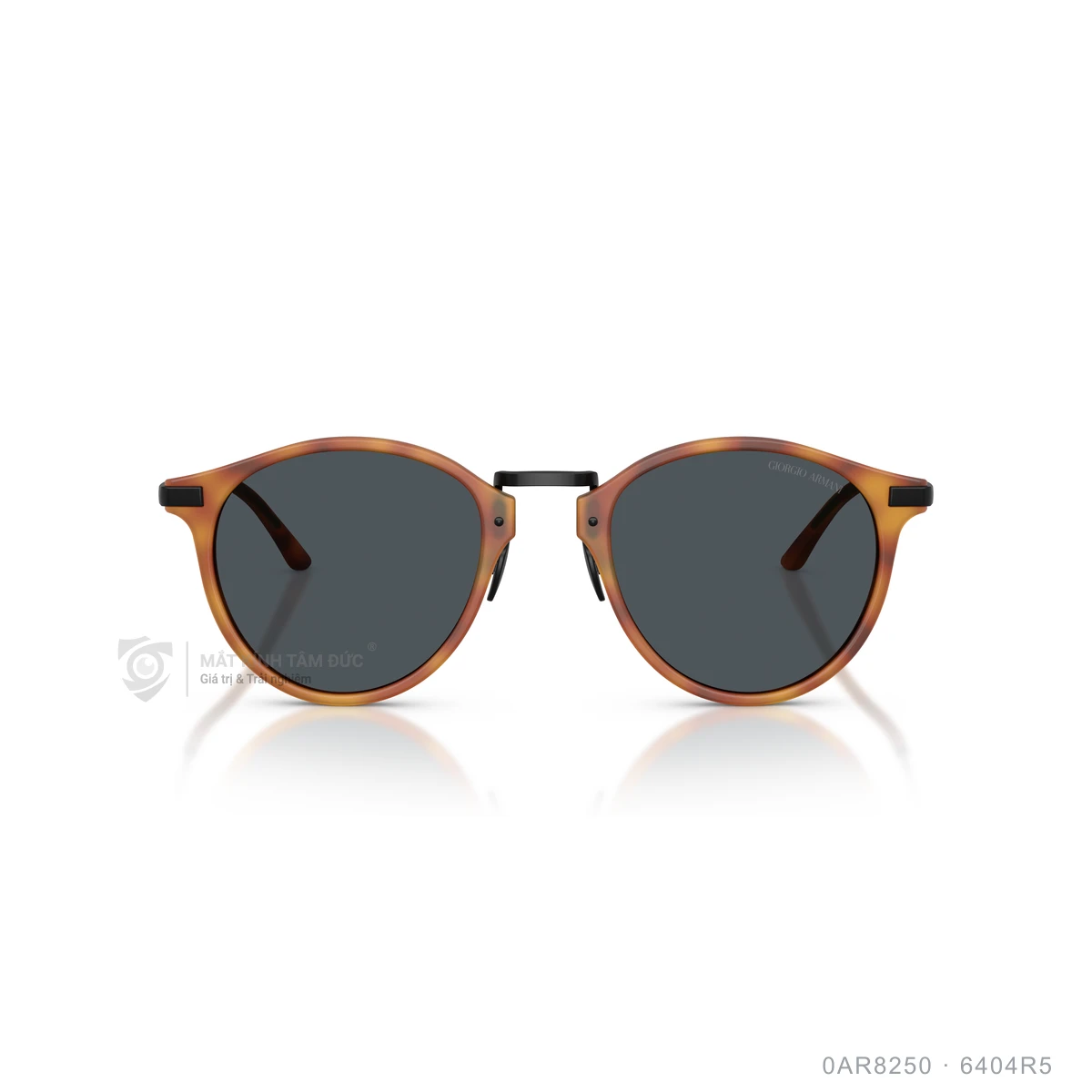 Kính mát Giorgio Armani 0AR8250 - Ảnh 11