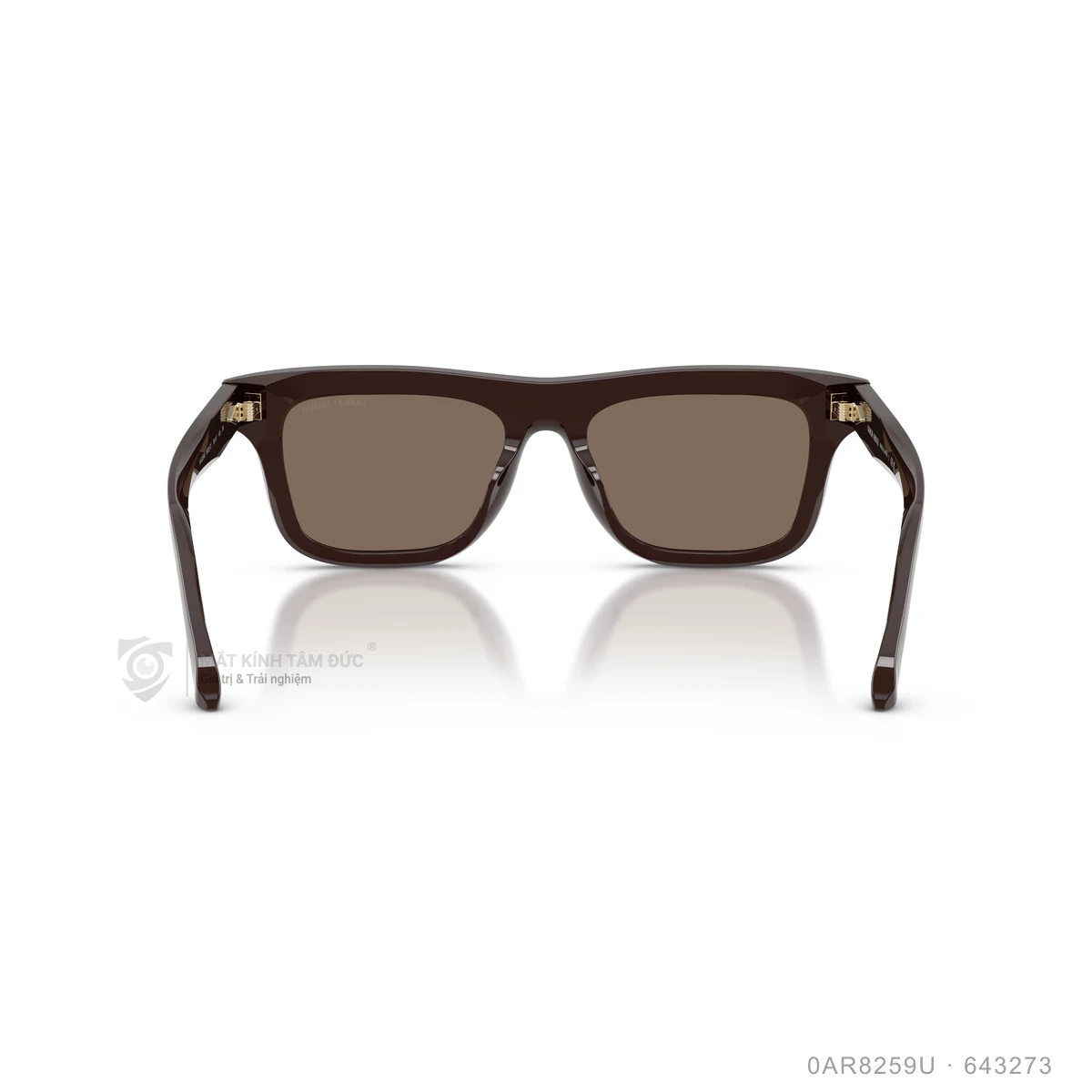 Kính mát Giorgio Armani 0AR8259U - Ảnh 20
