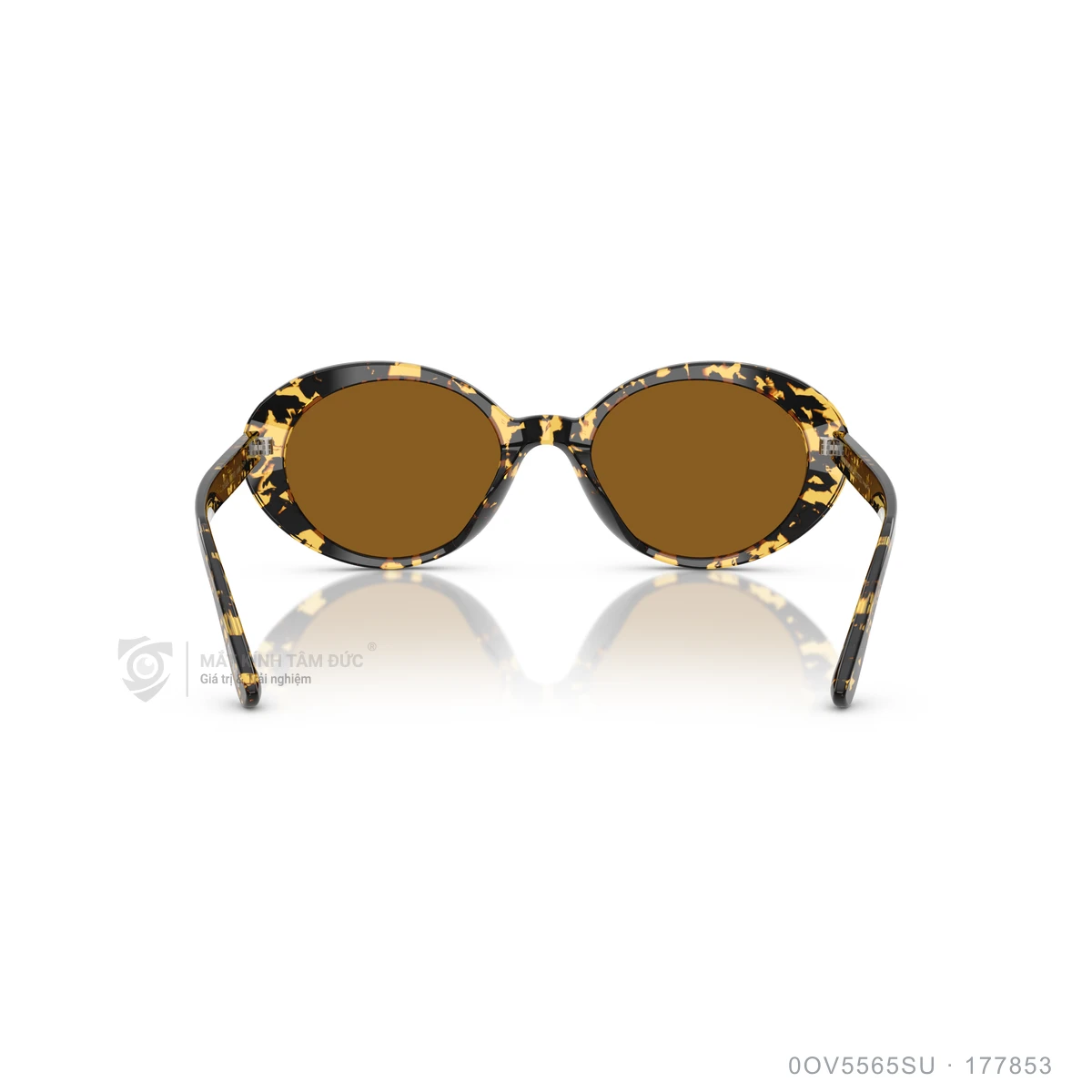 Kính mát Oliver Peoples 0OV5565SU - Ảnh 15