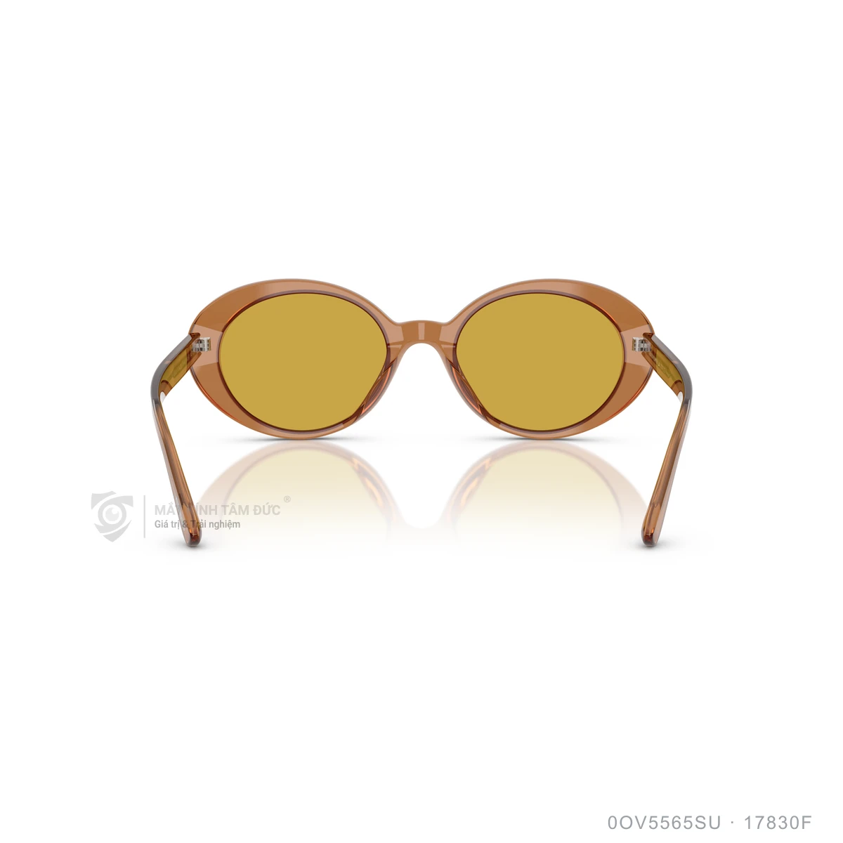 Kính mát Oliver Peoples 0OV5565SU - Ảnh 20