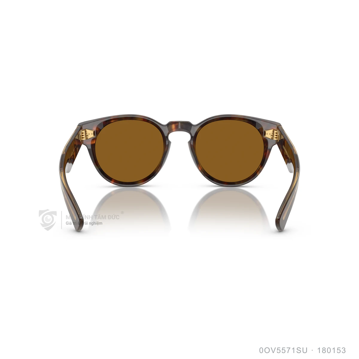 Kính mát Oliver Peoples 0OV5571SU - Ảnh 5