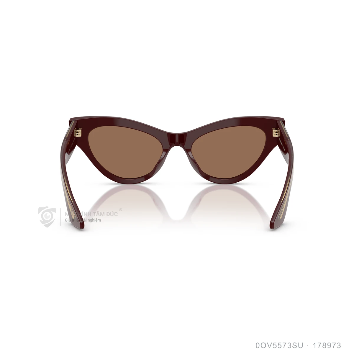 Kính mát Oliver Peoples 0OV5573SU - Ảnh 20