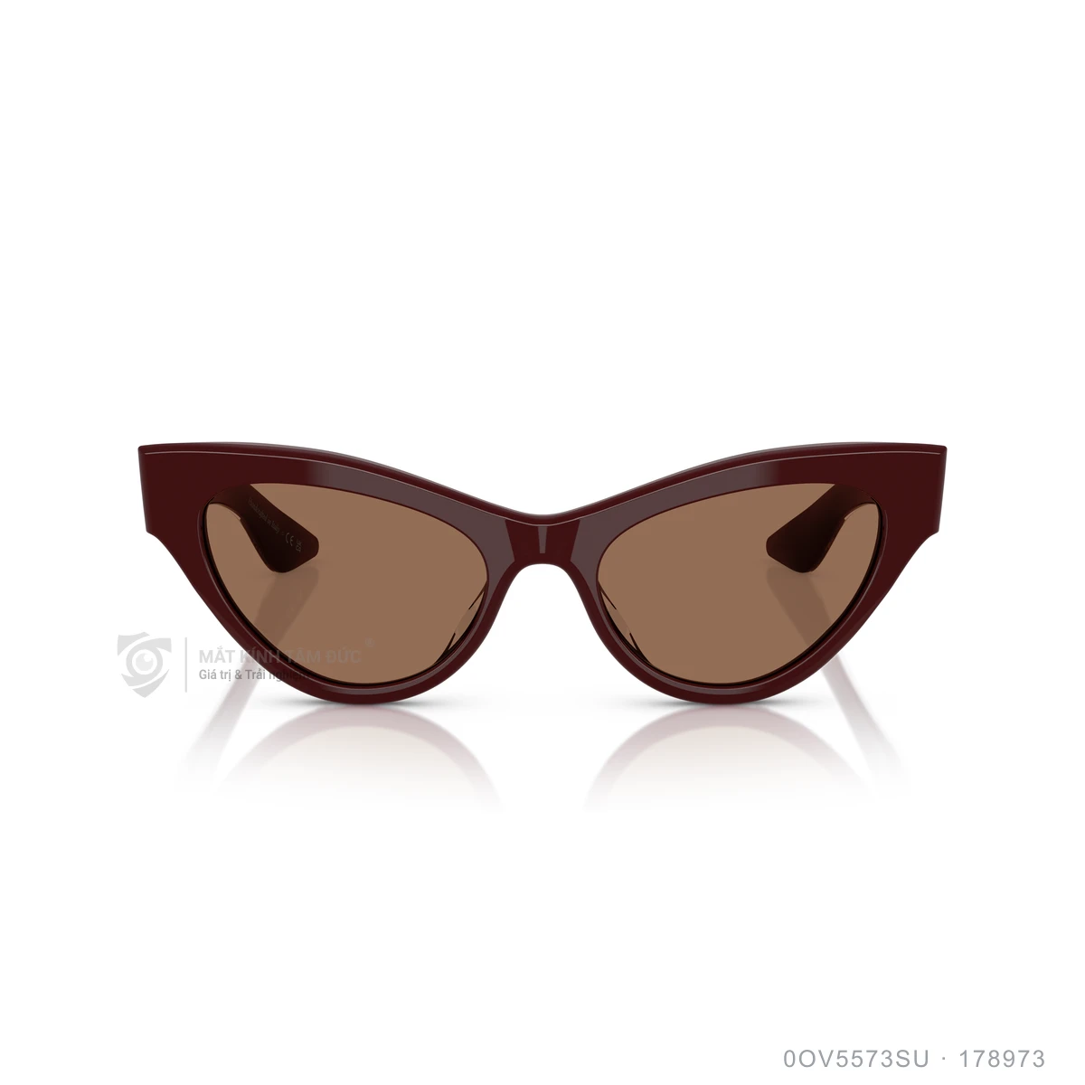 Kính mát Oliver Peoples 0OV5573SU - Ảnh 16