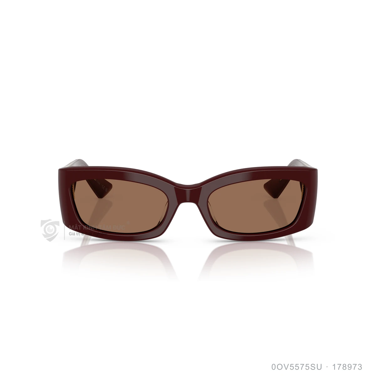 Kính mát Oliver Peoples 0OV5575SU - Ảnh 16