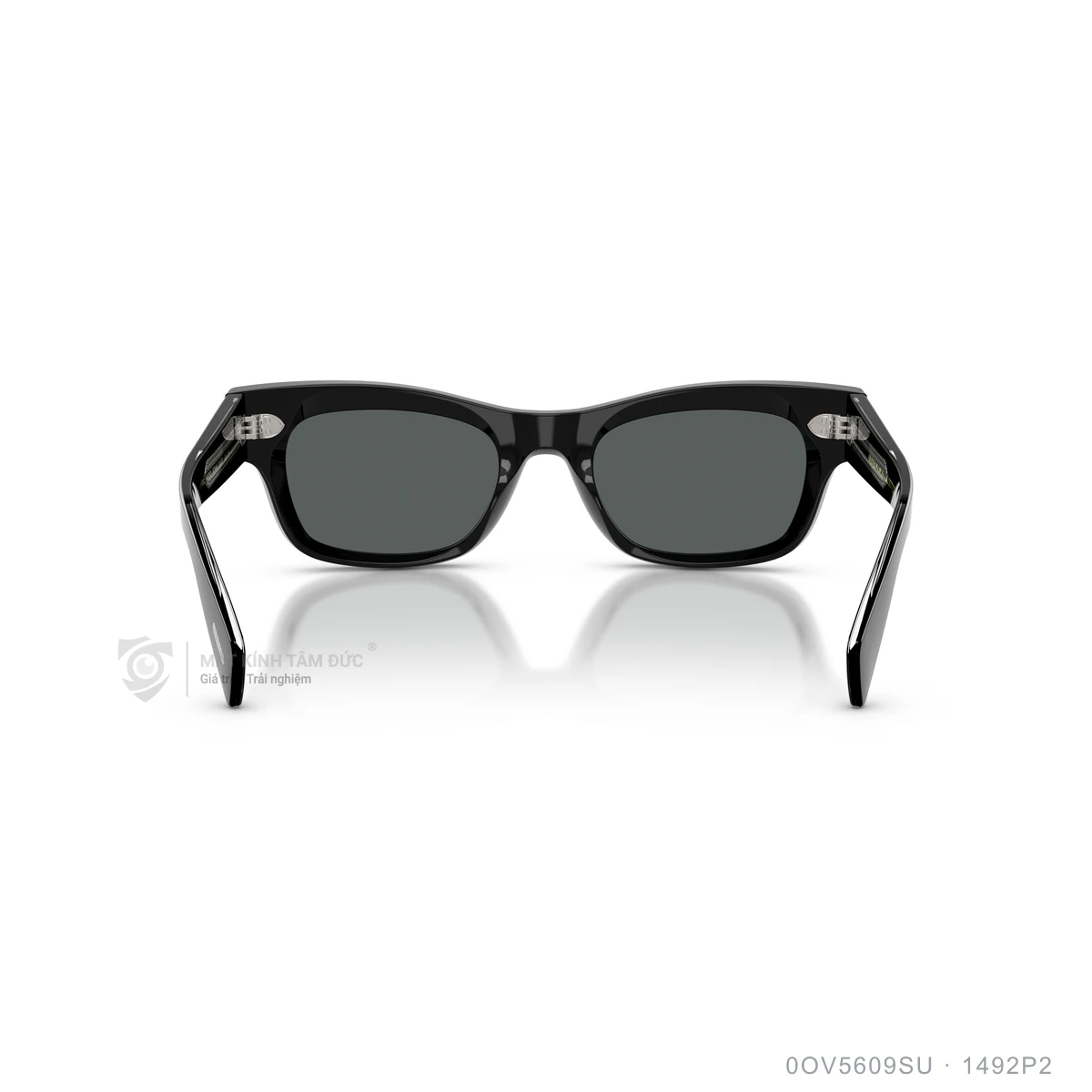Kính mát Oliver Peoples 0OV5609SU - Ảnh 5
