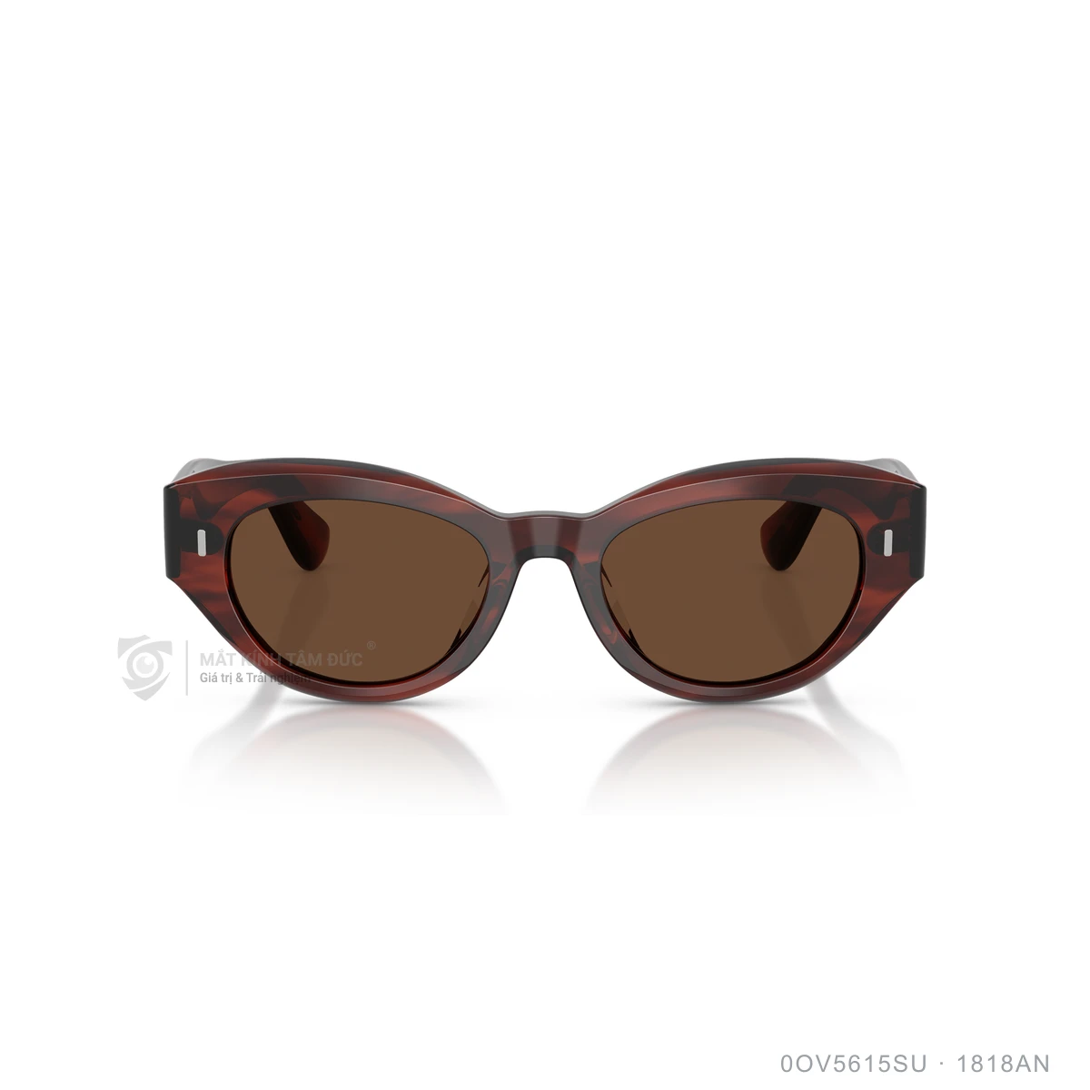 Kính mát Oliver Peoples 0OV5615SU - Ảnh 16