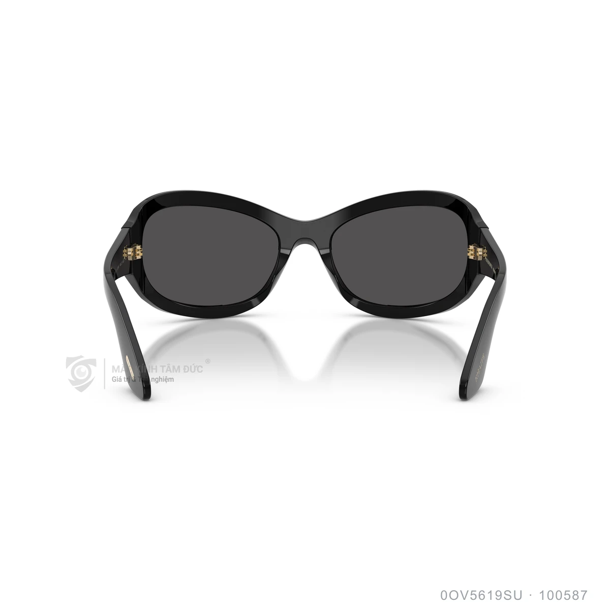 Kính mát Oliver Peoples 0OV5619SU - Ảnh 5