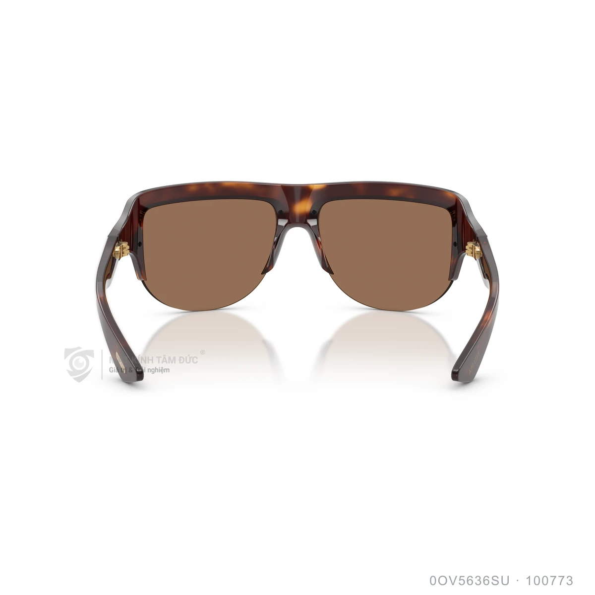 Kính mát Oliver Peoples 0OV5636SU - Ảnh 5
