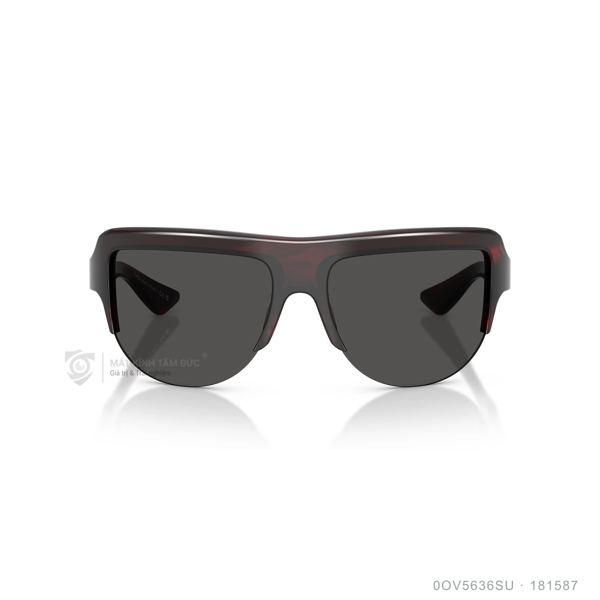 Kính mát Oliver Peoples 0OV5636SU - Ảnh 11
