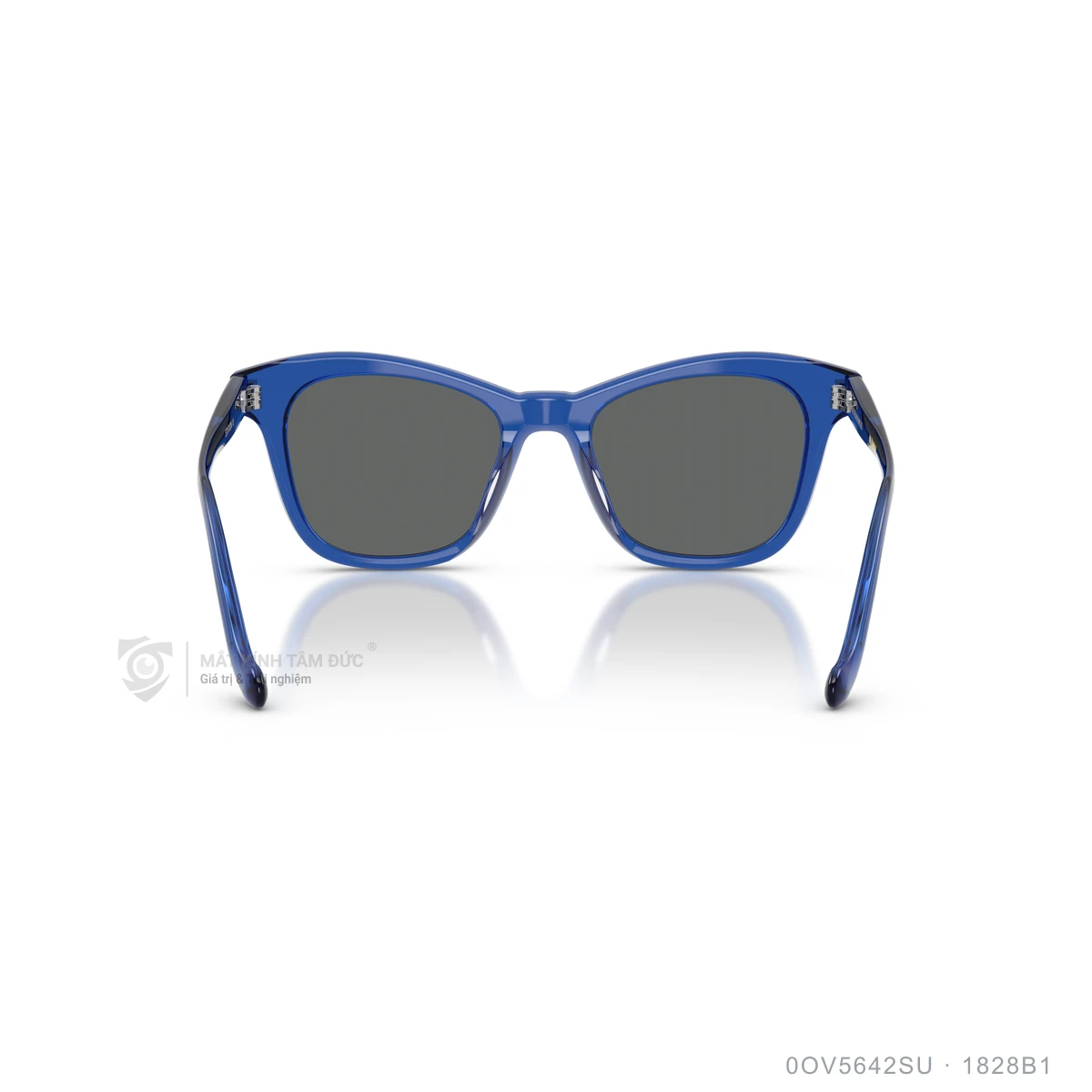 Kính mát Oliver Peoples 0OV5642SU - Ảnh 20