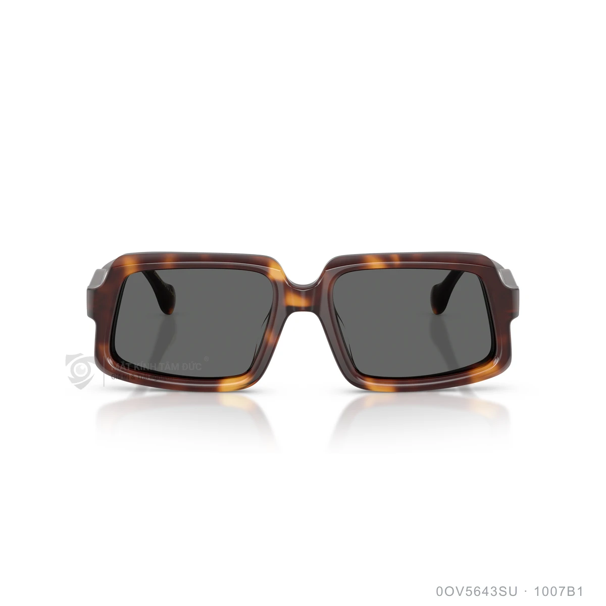 Hình ảnh thực tế Kính mát Oliver Peoples 0OV5643SU
