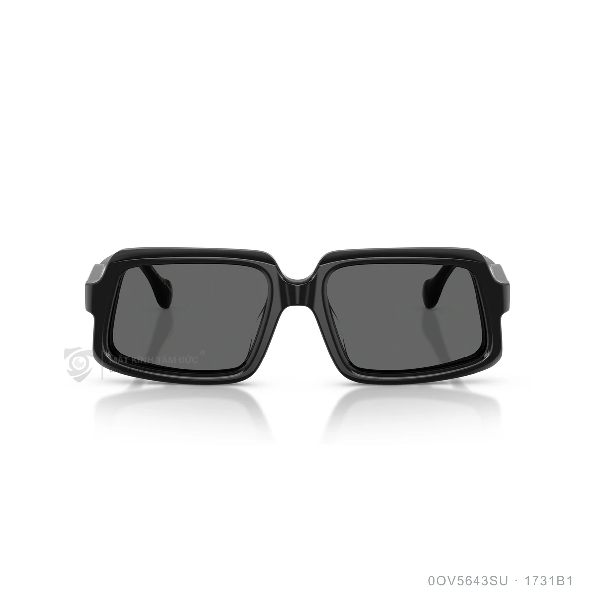 Kính mát Oliver Peoples 0OV5643SU - Ảnh 11