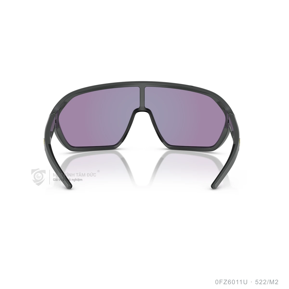 Kính mát Scuderia Ferrari 0FZ6011U - Ảnh 20