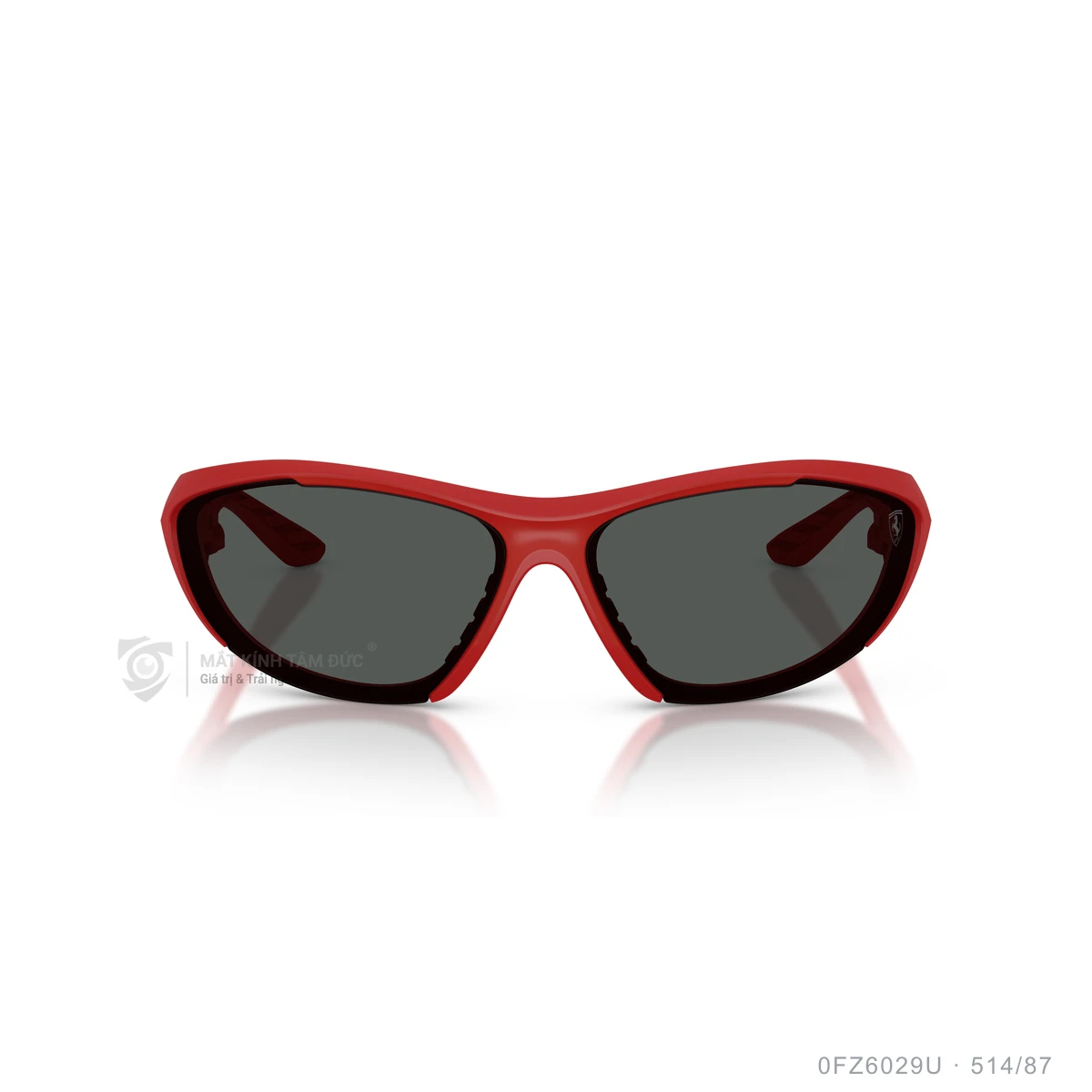 Kính mát Scuderia Ferrari 0FZ6029U - Ảnh 11