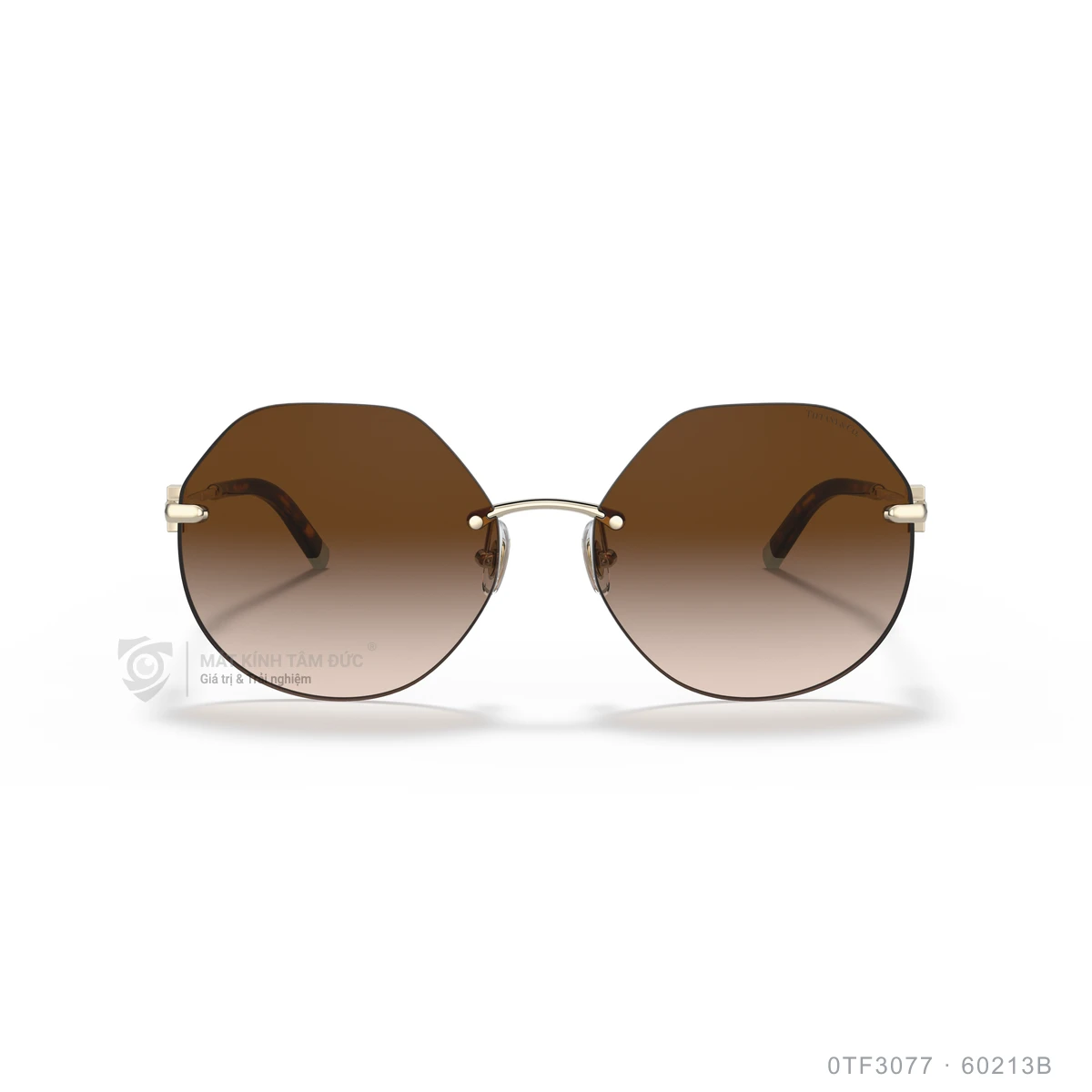 Kính mát Tiffany &amp; Co. 0TF3077 - Ảnh 1