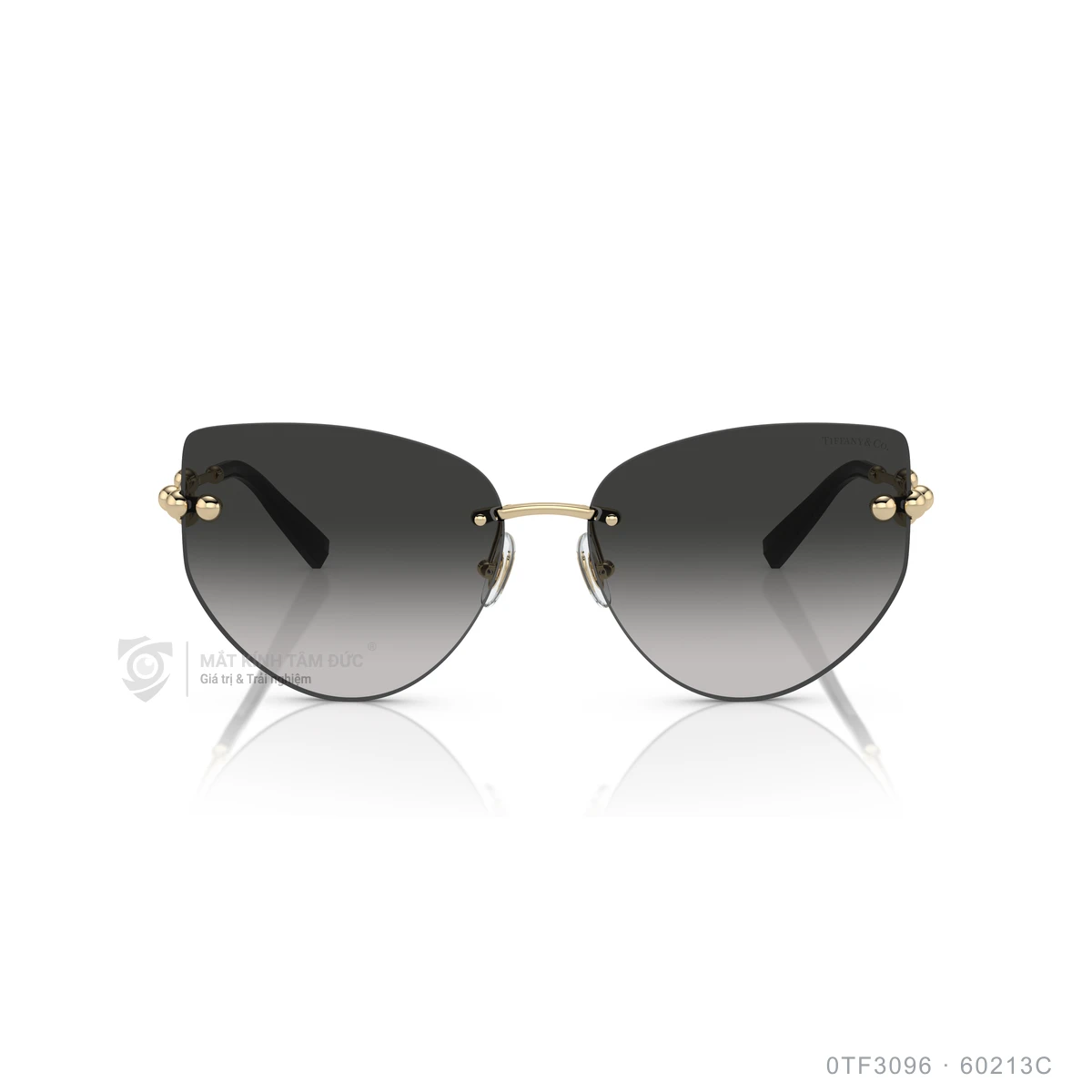 Kính mát Tiffany &amp; Co. 0TF3096 - Ảnh 1