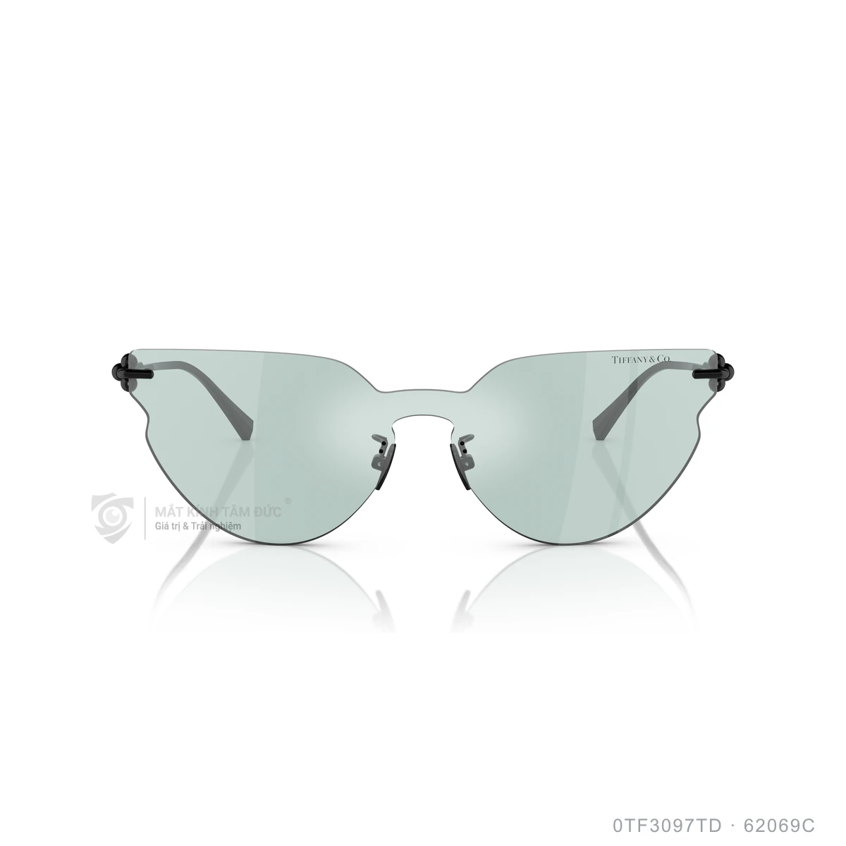 Kính mát Tiffany &amp; Co. 0TF3097TD - Ảnh 1