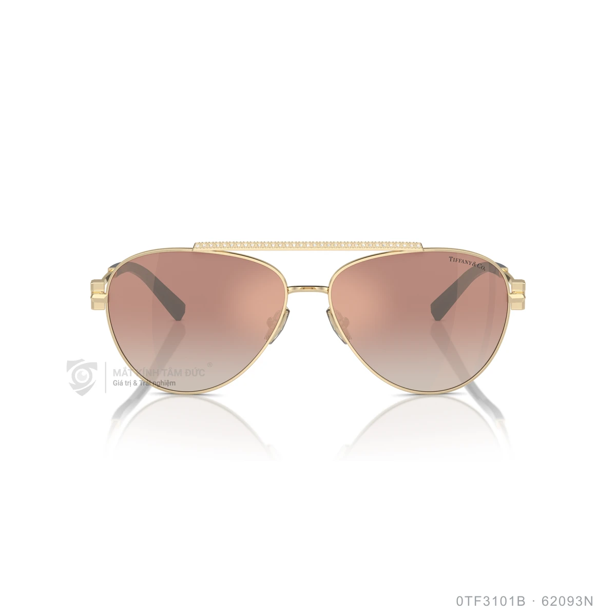 Kính mát Tiffany &amp; Co. 0TF3101B - Ảnh 1