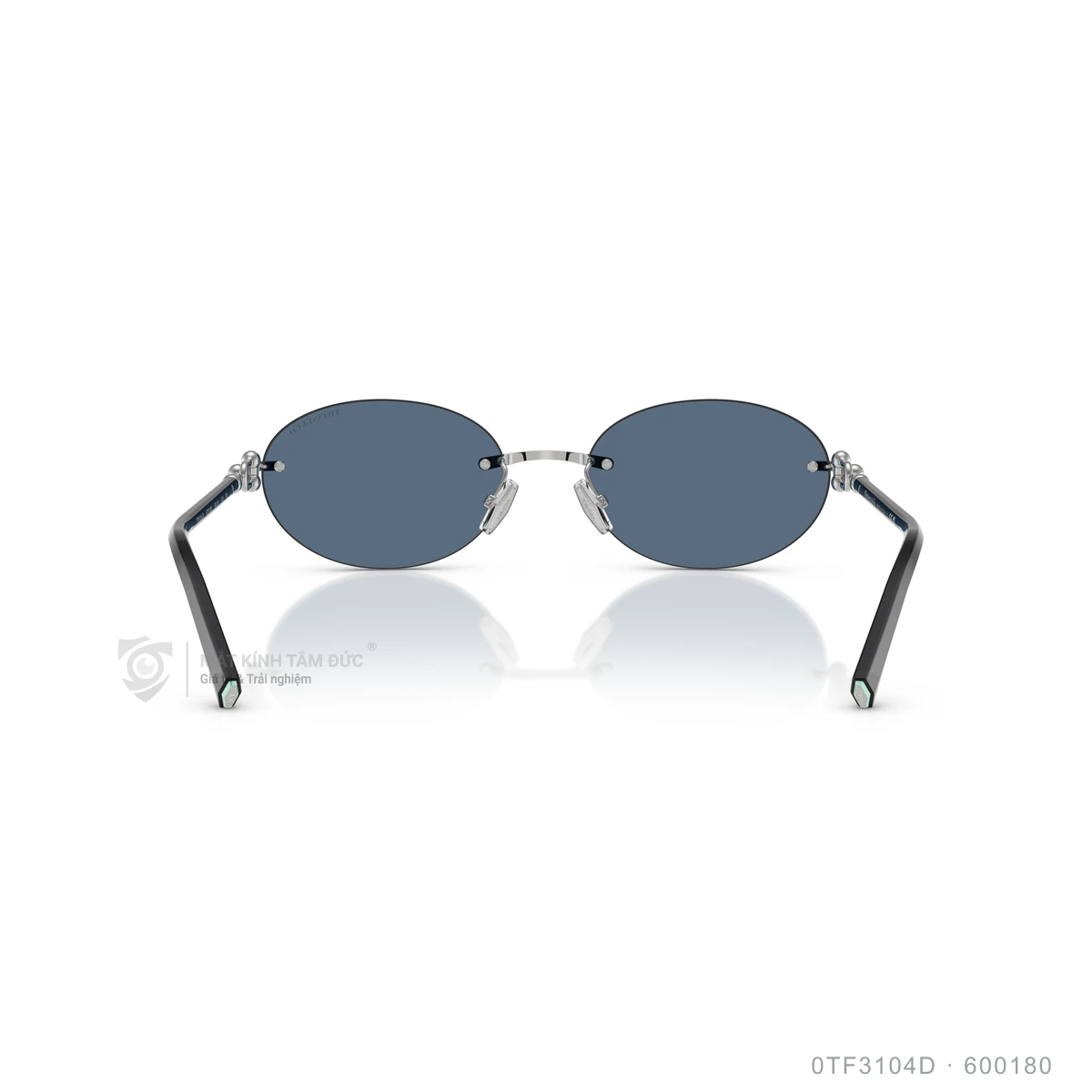 Kính mát Tiffany &amp; Co. 0TF3104D - Ảnh 10