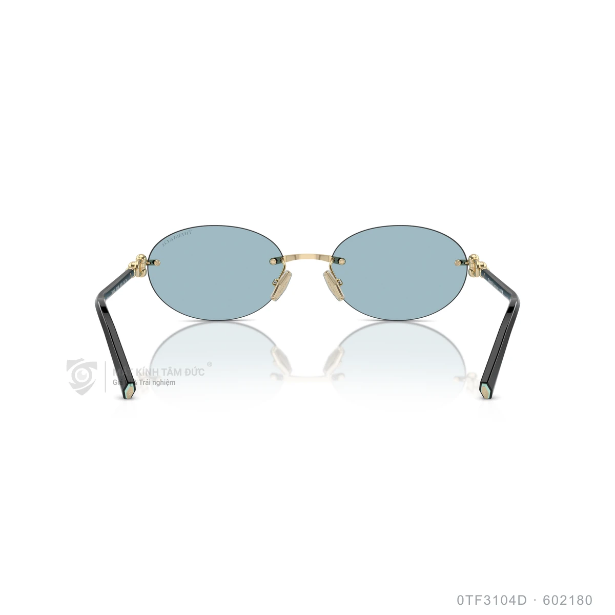 Kính mát Tiffany &amp; Co. 0TF3104D - Ảnh 15