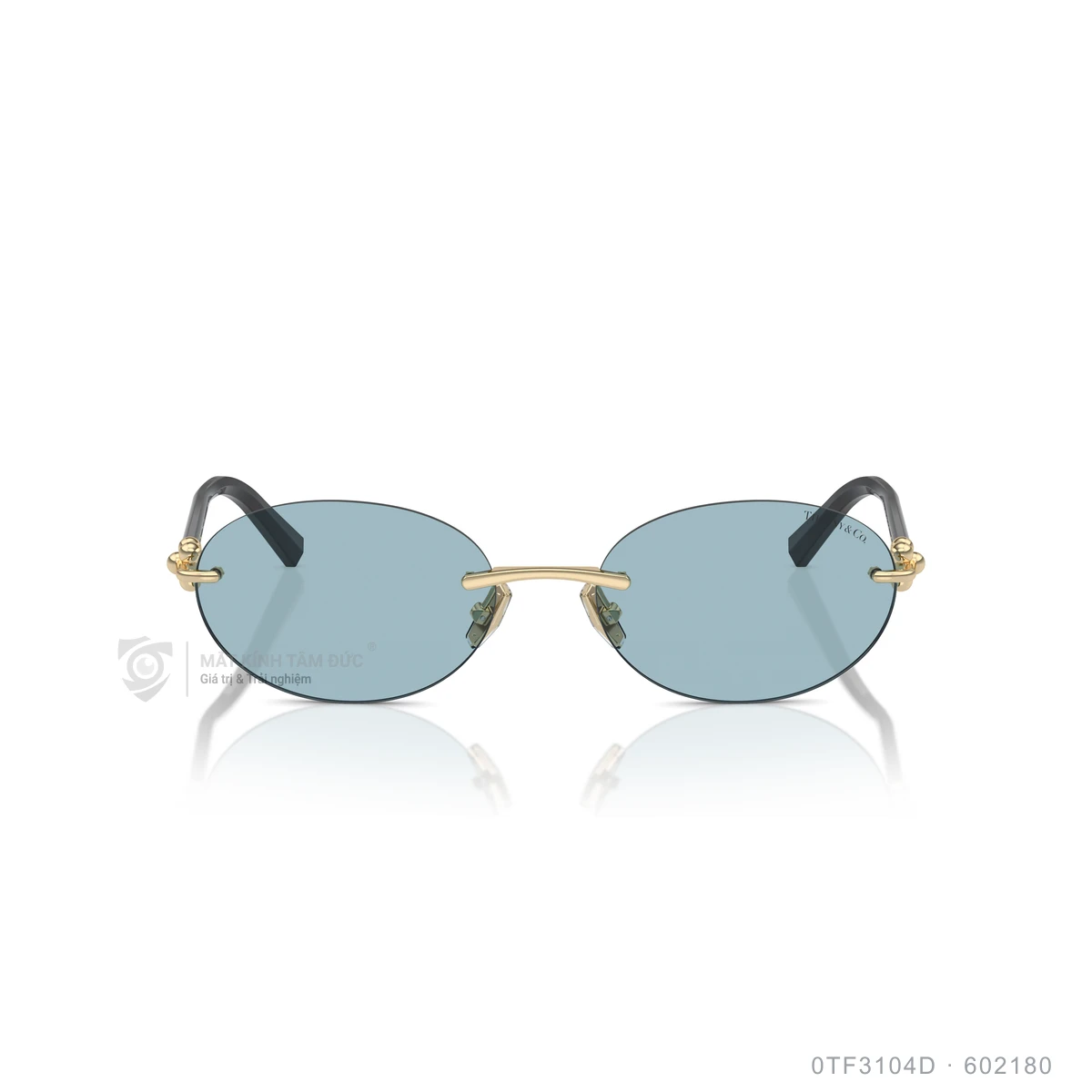 Kính mát Tiffany &amp; Co. 0TF3104D - Ảnh 11