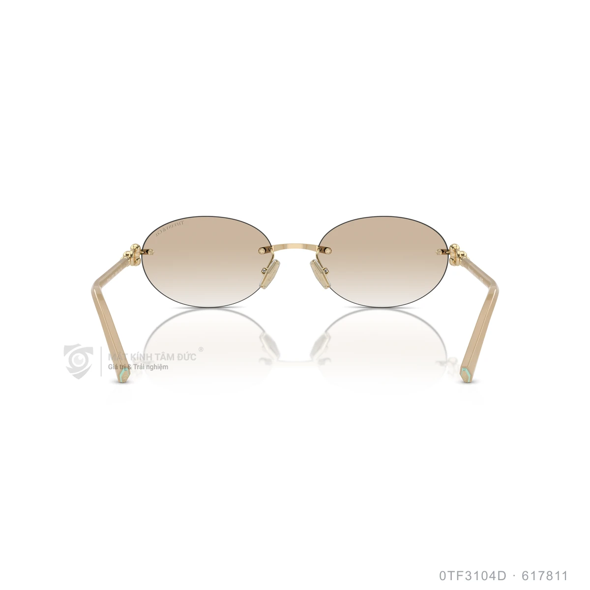 Kính mát Tiffany &amp; Co. 0TF3104D - Ảnh 20