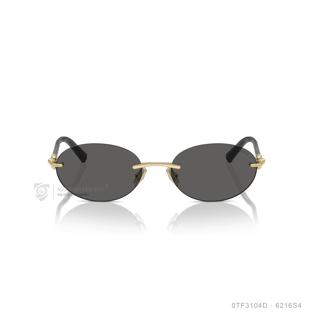 Kính mát Tiffany &amp; Co. 0TF3104D - Ảnh 21