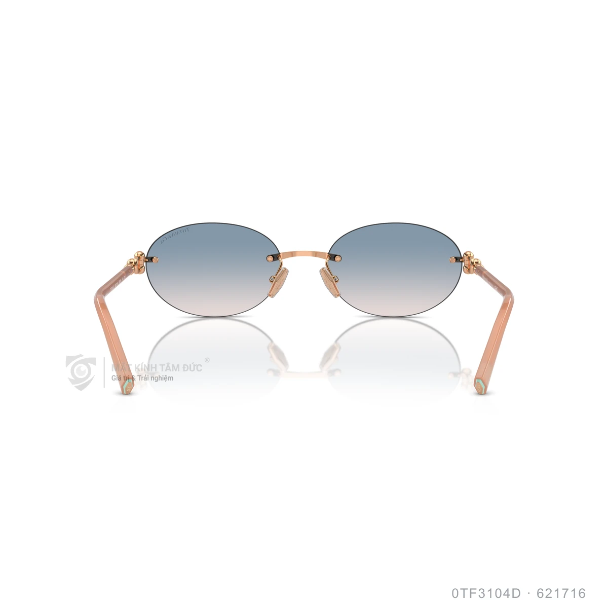 Kính mát Tiffany &amp; Co. 0TF3104D - Ảnh 30