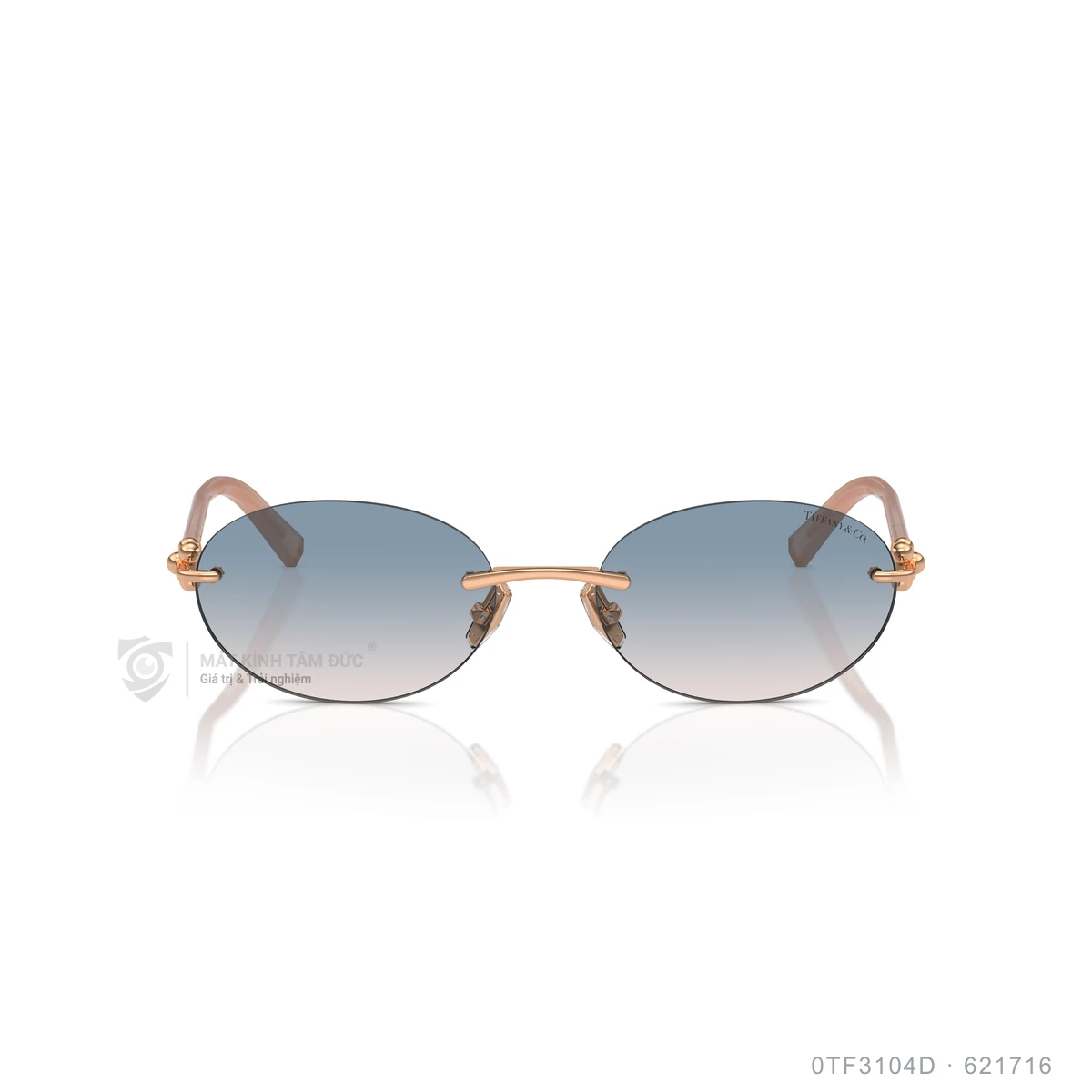 Kính mát Tiffany &amp; Co. 0TF3104D - Ảnh 26