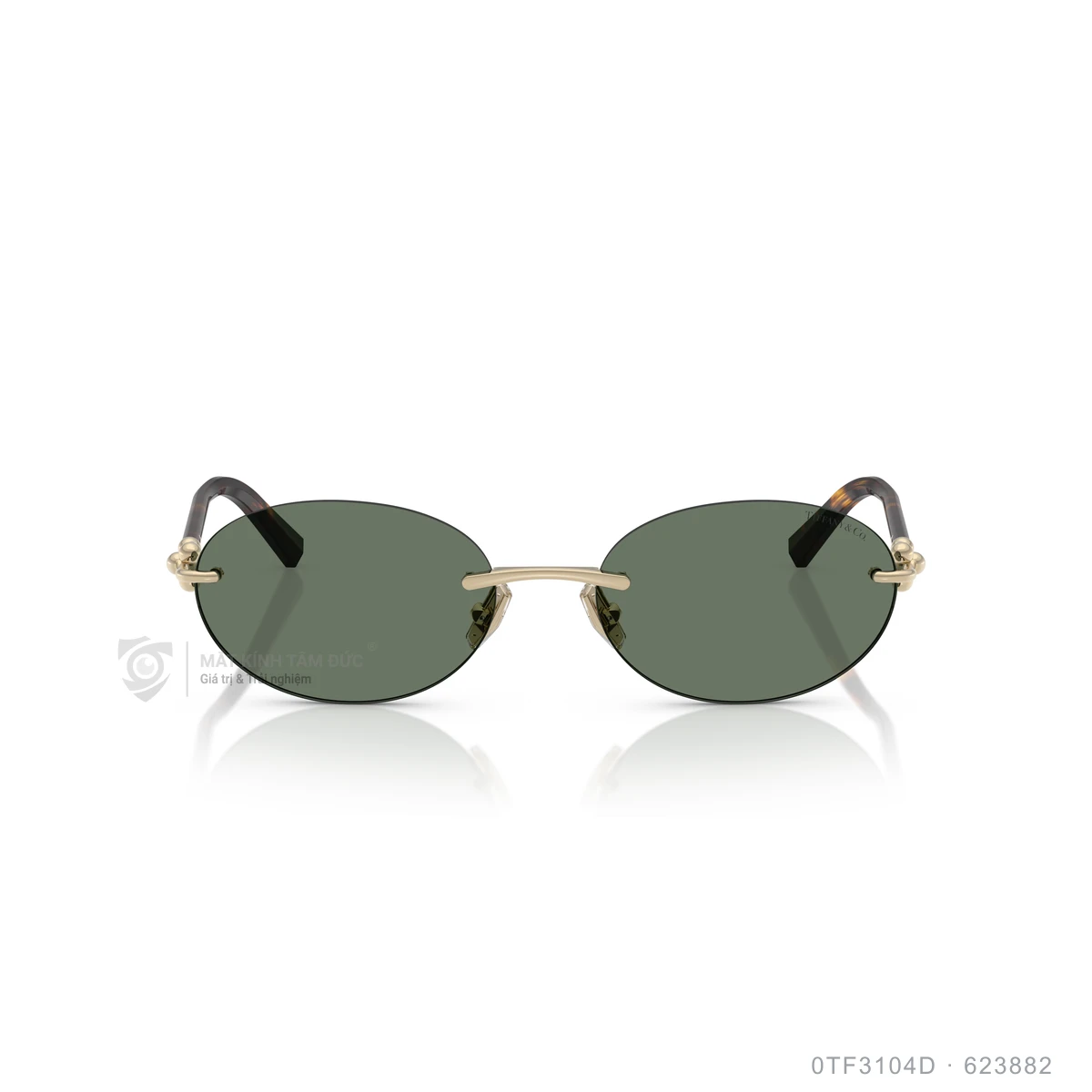 Kính mát Tiffany &amp; Co. 0TF3104D - Ảnh 1