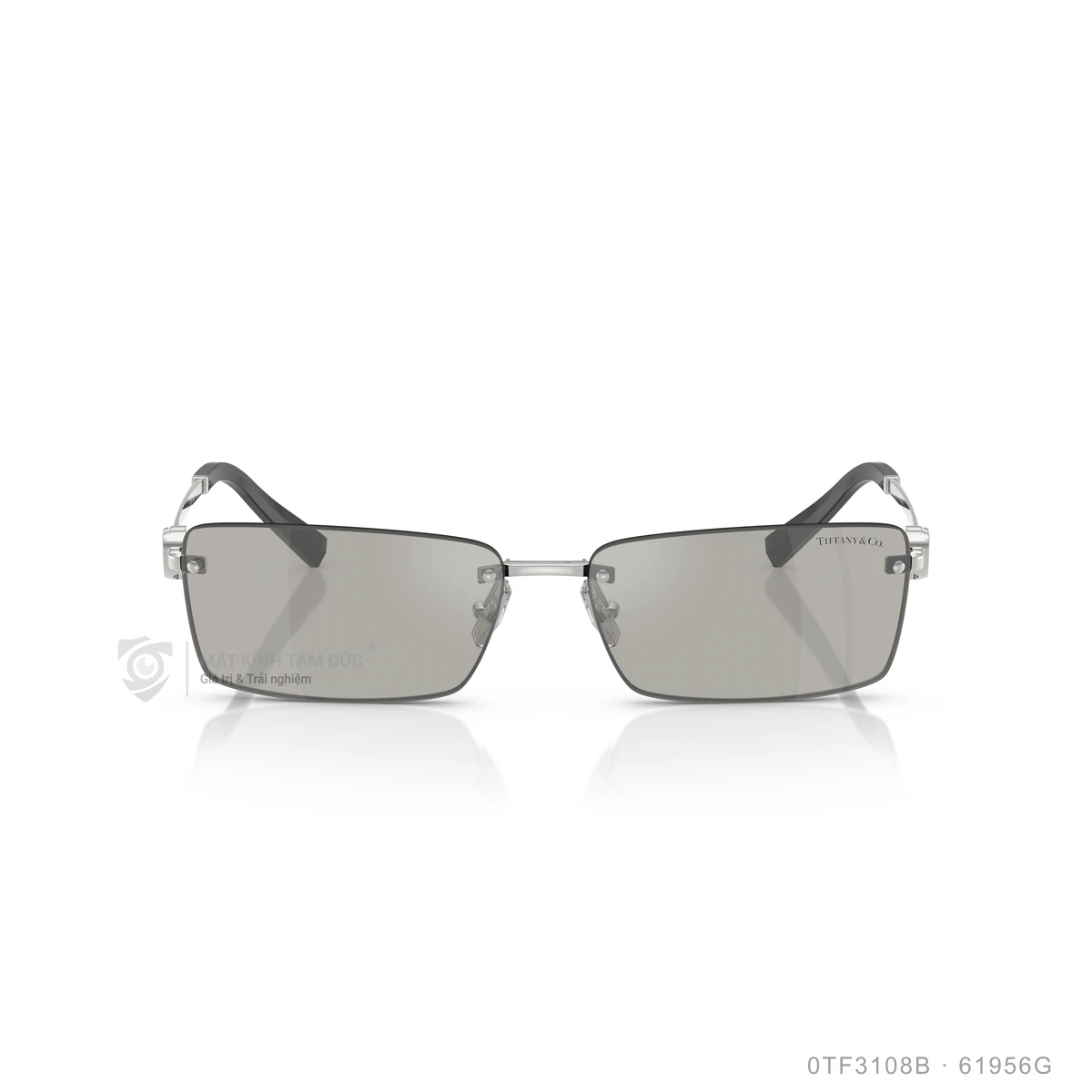 Kính mát Tiffany & Co. 0TF3108B - Ảnh 6