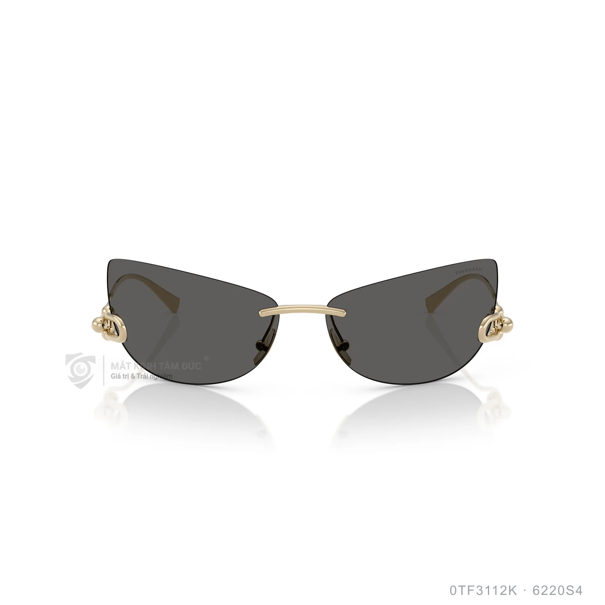 Kính mát Tiffany &amp; Co. 0TF3112K - Ảnh 1
